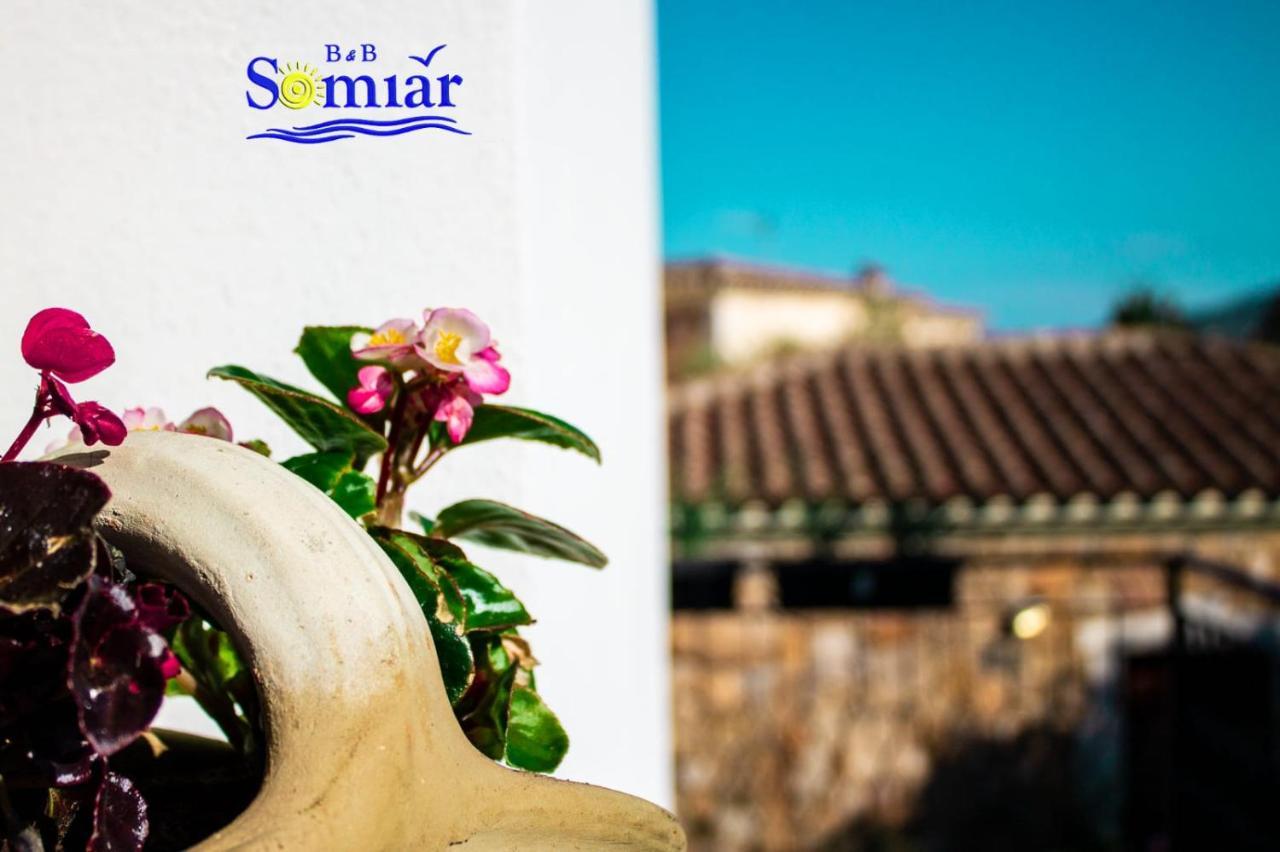 B&B Somiar San Teodoro  Exterior foto